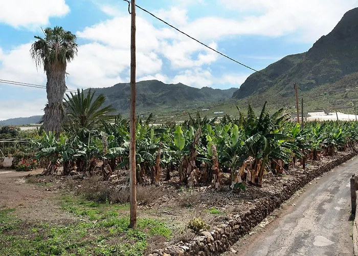 Casa El Cardon B2 Сasa de vacaciones Buenavista Del Norte
