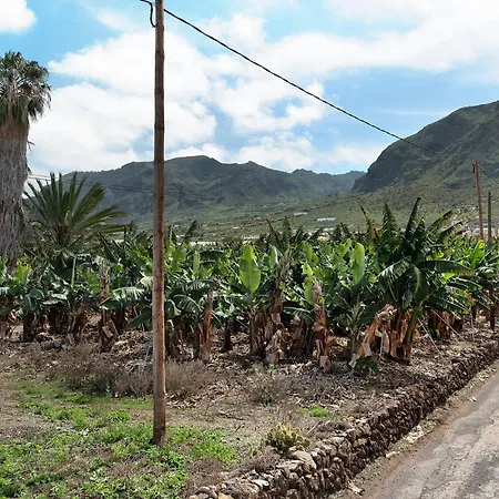 Casa El Cardon B2 Holiday home Buenavista Del Norte